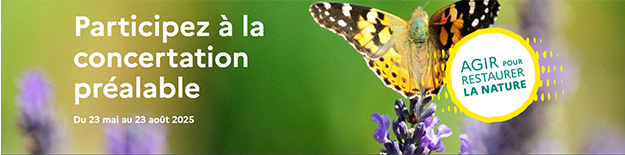 Lien vers le site internet de la concertation