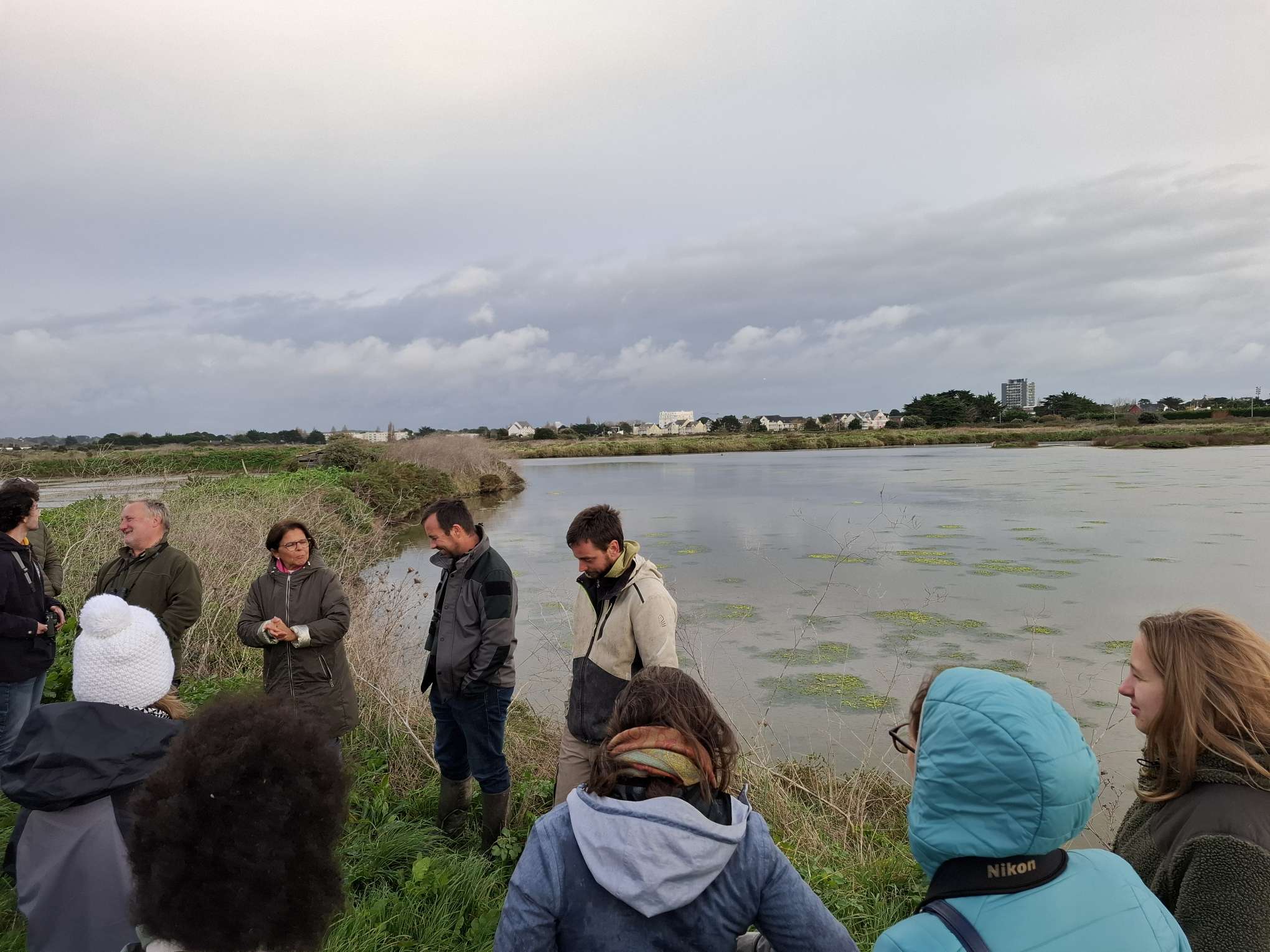 Ilots dédiés à l'avifaune en marais salants (Saillé)