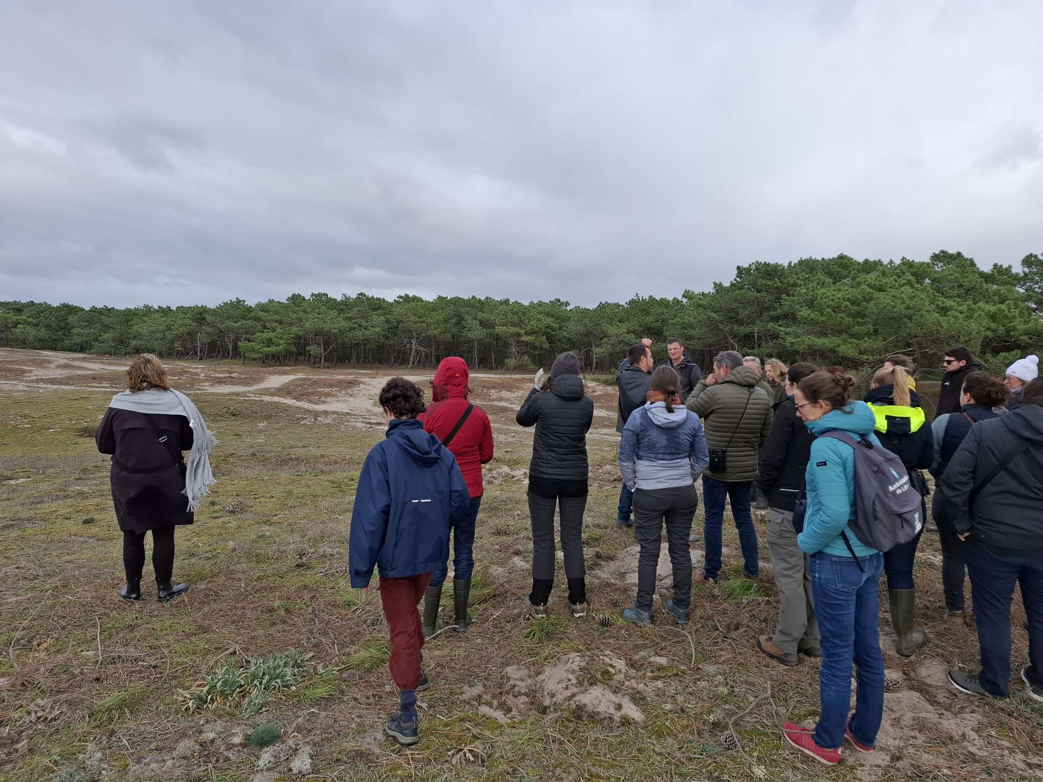 Résultats du contrats N2000 sur la dune grise