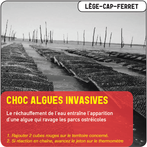 Une des cartes "choc" (jeu de la résilience) Une des cartes "choc" (jeu de la résilience)